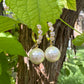 Nacar Gold Earrings