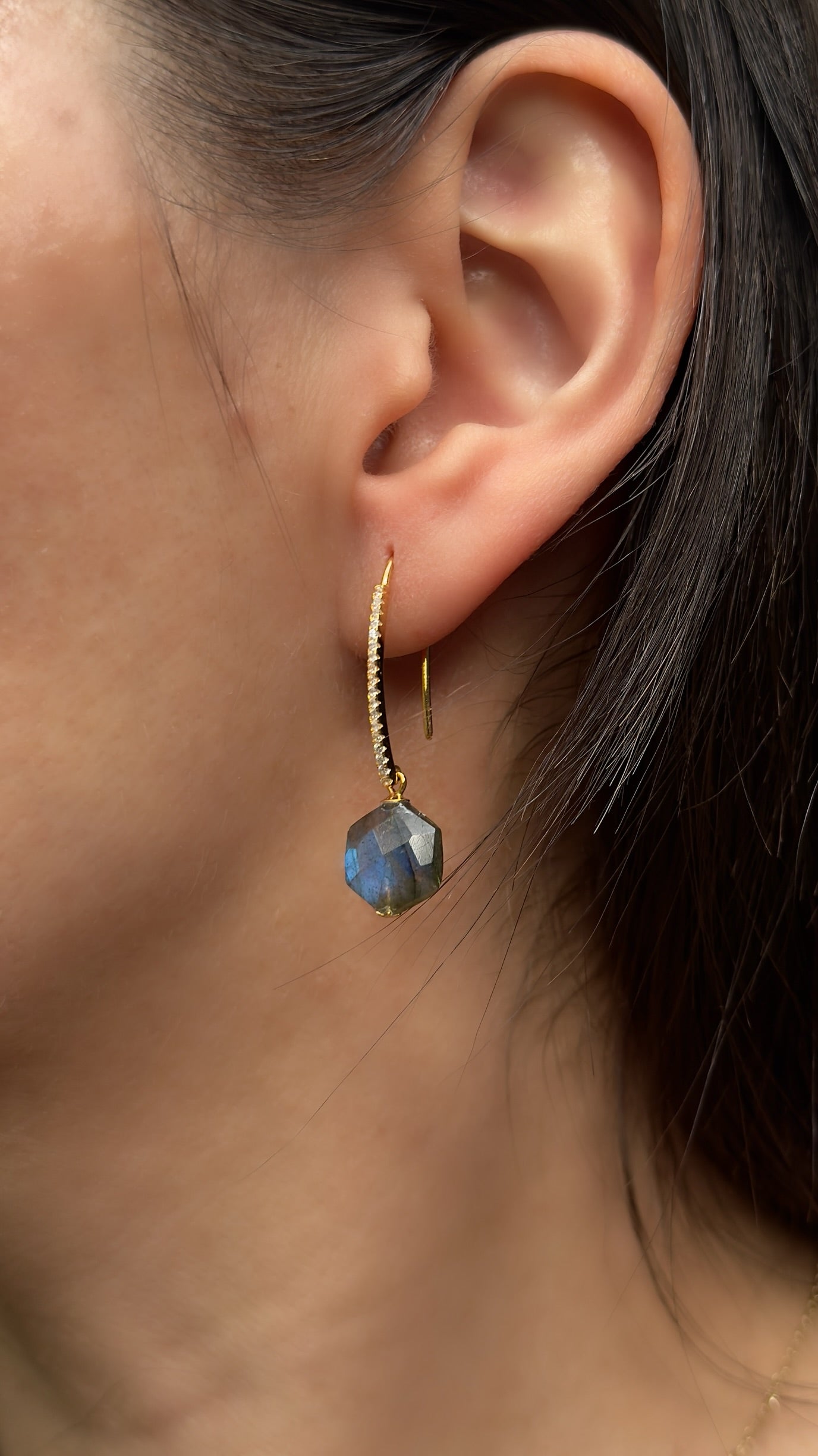 Labradorite Earrings