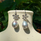 Silver Teardrop Pearl Earrings